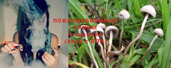 метадон Алексин
