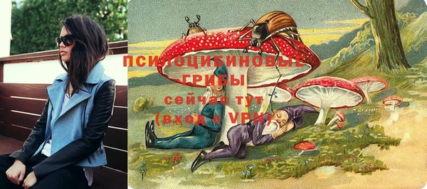 метадон Алексин