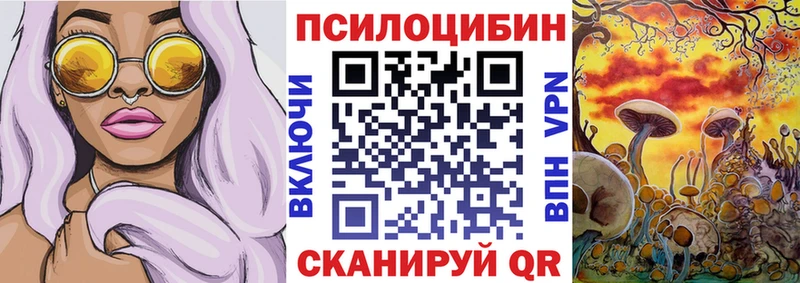 Галлюциногенные грибы мухоморы  купить наркотики цена  Аргун 
